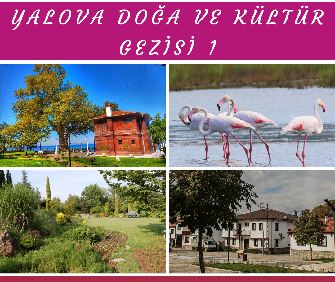 YALOVA DOĞA VE KÜLTÜR GEZİSİ 1