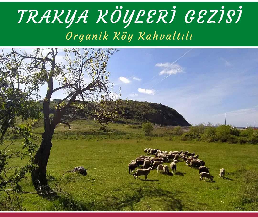 TRAKYA KÖYLERİ GEZİSİ