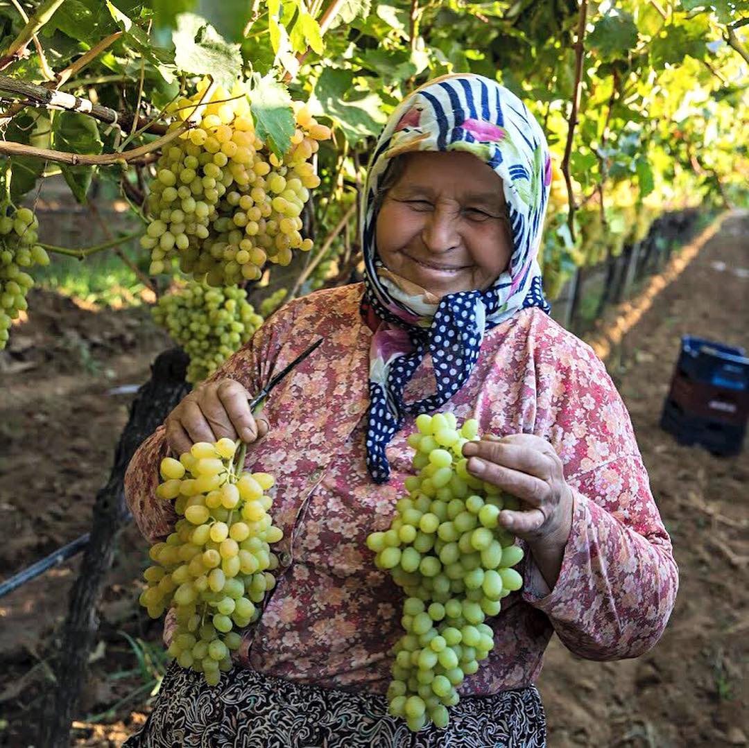BAĞBOZUMUNDA TRAKYA KÖYLERİ (5 EYLÜL)